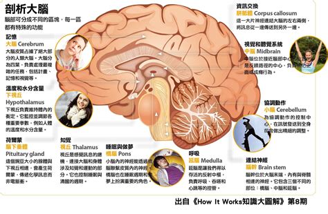 腦嗚的原因|腦鳴，是大腦中存在 的一種異常的聲音，怎麼會產生。